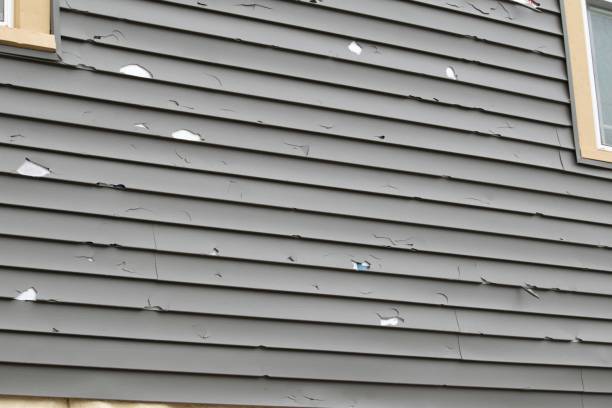 Best Custom Trim and Detailing for Siding  in Canyon, TX